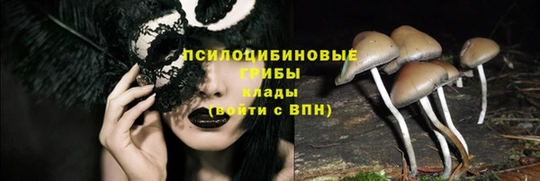 jwh Аркадак