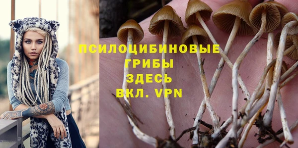 jwh Аркадак